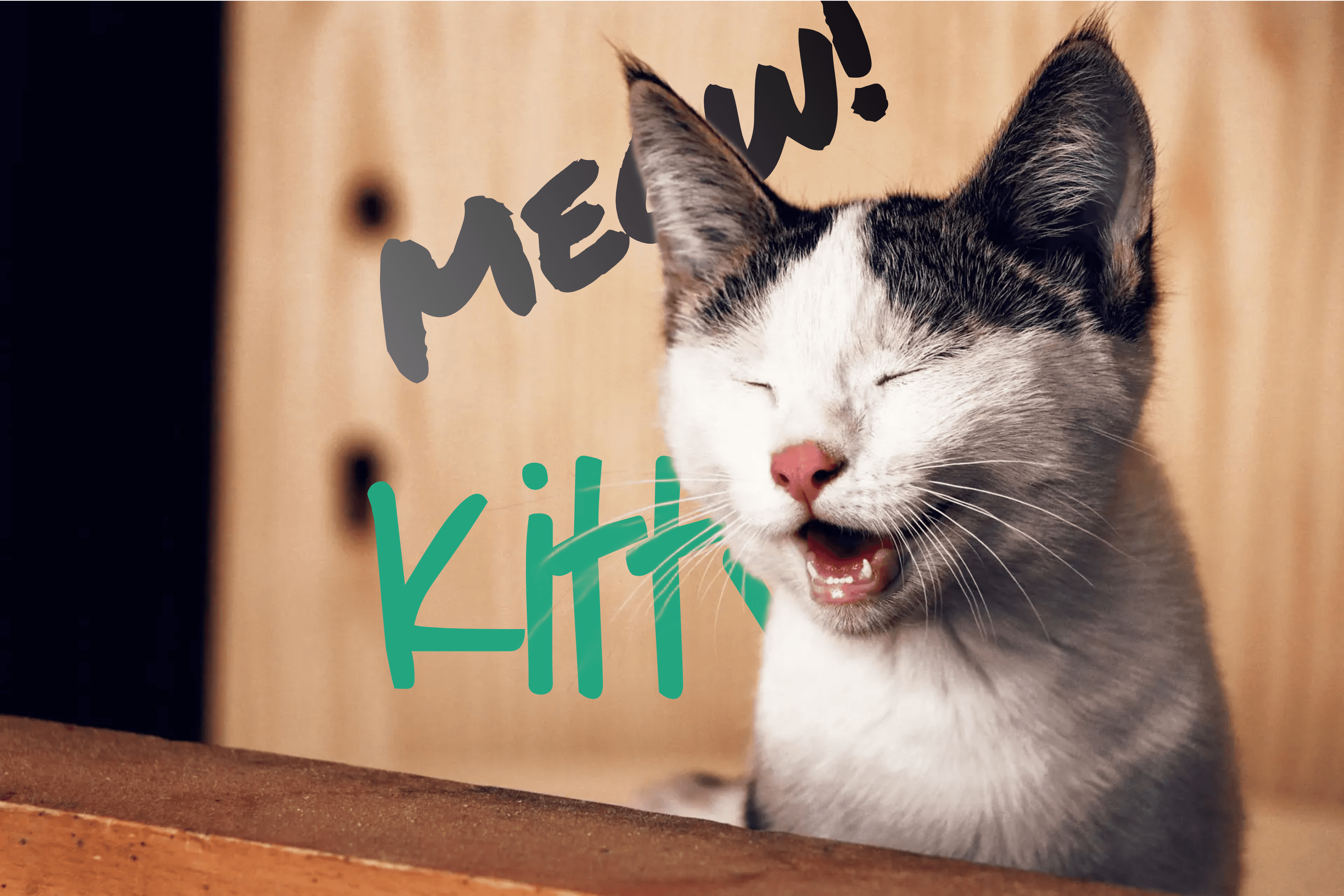 Creative light backdrop